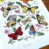 Fine Art Rag Giclee Prints - giclees.co