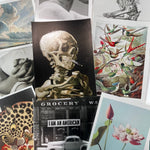 Hahnemühle Photo Rag Metallic Giclée Prints - giclees.co
