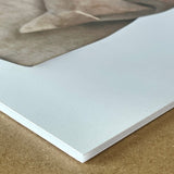 Foam Mounted Giclee Prints