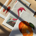 Art Print Packs - giclees.co