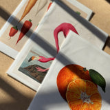 Art Print Packs - giclees.co