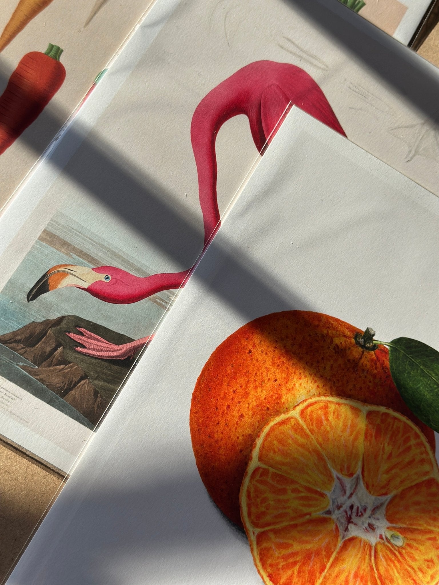 Art Print Packs - giclees.co