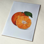 Art Print Packs - giclees.co