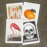 Art Print Packs - giclees.co
