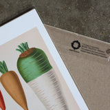 Art Print Packs - giclees.co