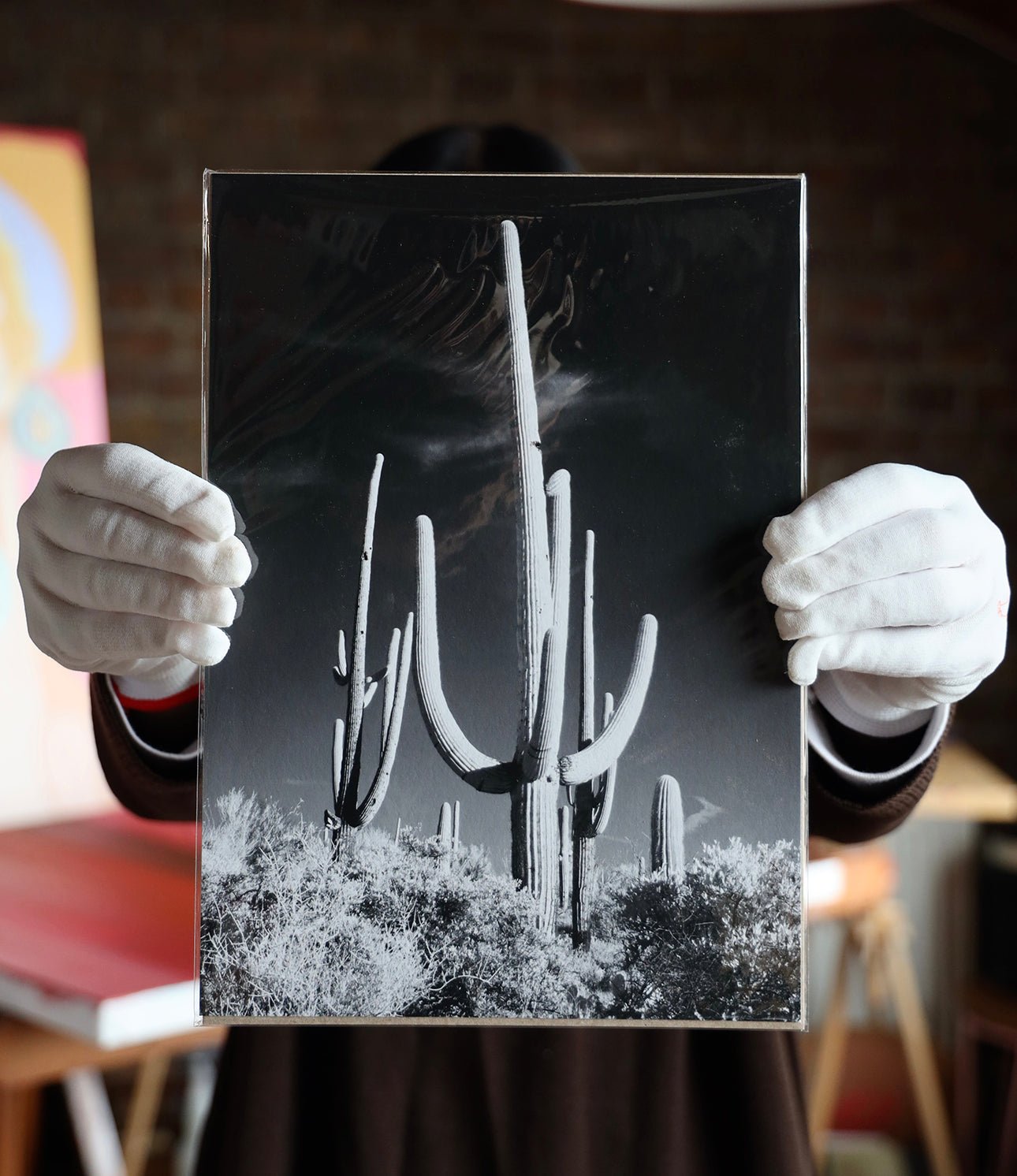 Art Print Packs - giclees.co