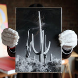 Art Print Packs - giclees.co