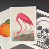 Art Print Packs - giclees.co