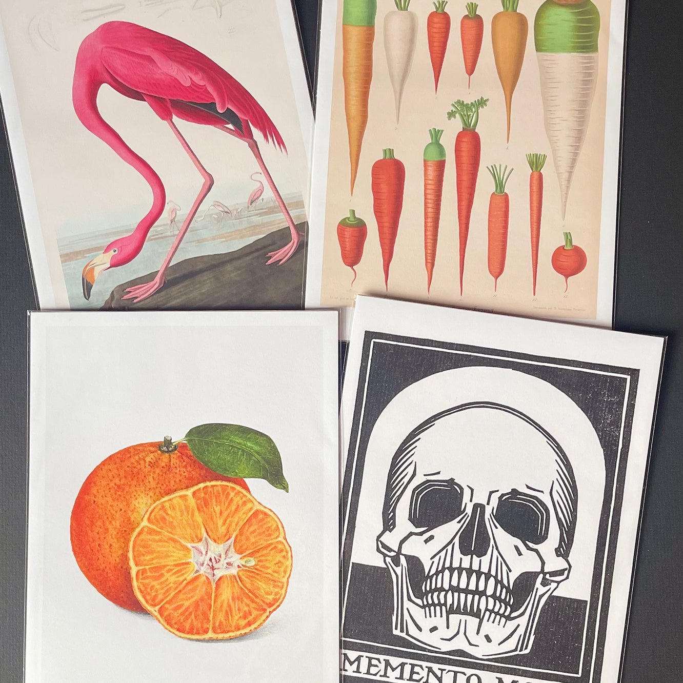Art Print Packs - giclees.co