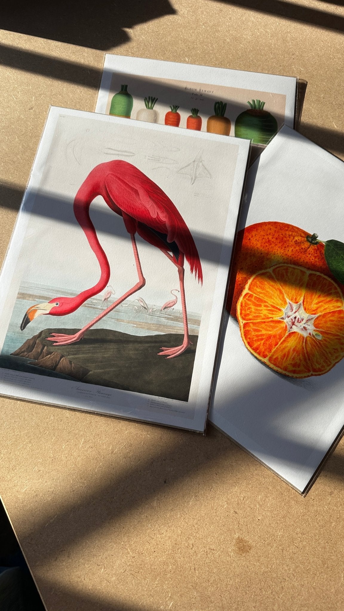 Art Print Packs - giclees.co