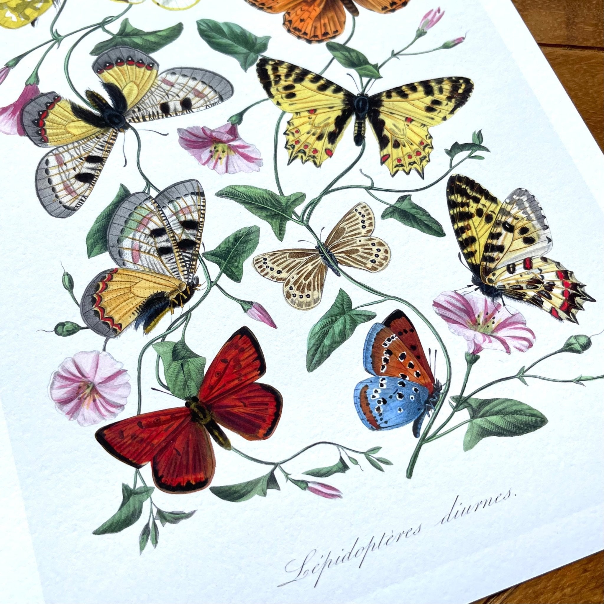Fine Art Rag Giclee Prints - giclees.co