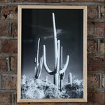 Framed Giclee Prints - giclees.co