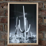 Framed Giclee Prints - giclees.co