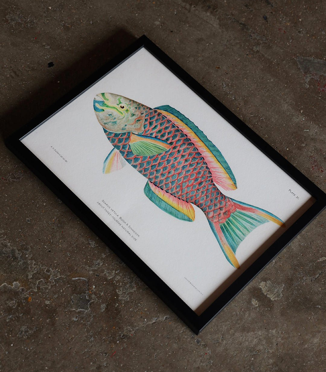 Framed Giclee Prints - giclees.co