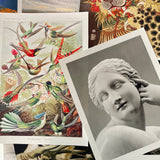 Hahnemühle Photo Rag Metallic Giclée Prints - giclees.co