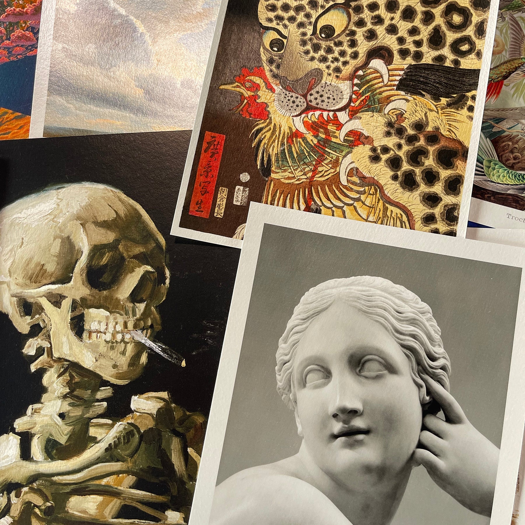 Hahnemühle Photo Rag Metallic Giclée Prints - giclees.co
