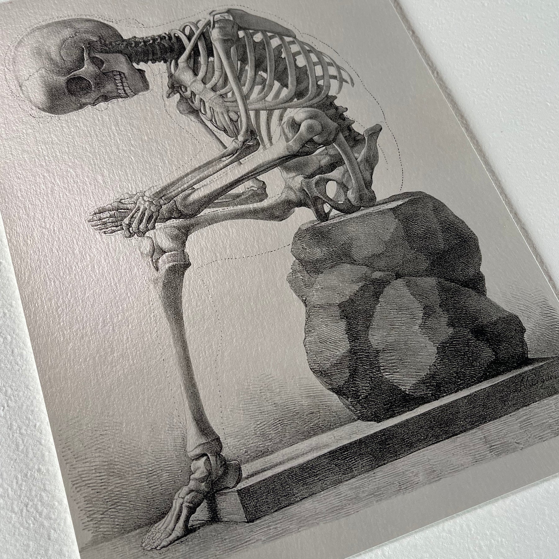 Hahnemühle Photo Rag Metallic Giclée Prints - giclees.co