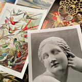 Hahnemühle Photo Rag Metallic Giclée Prints - giclees.co